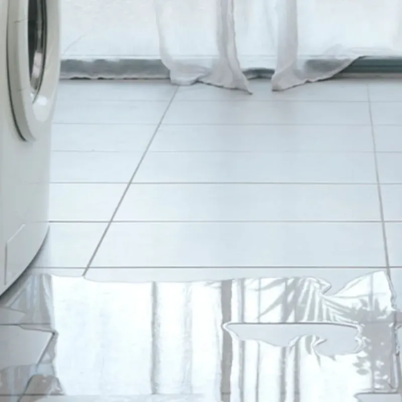 Appliance Leak Cleanup in Bliss Corner, MA