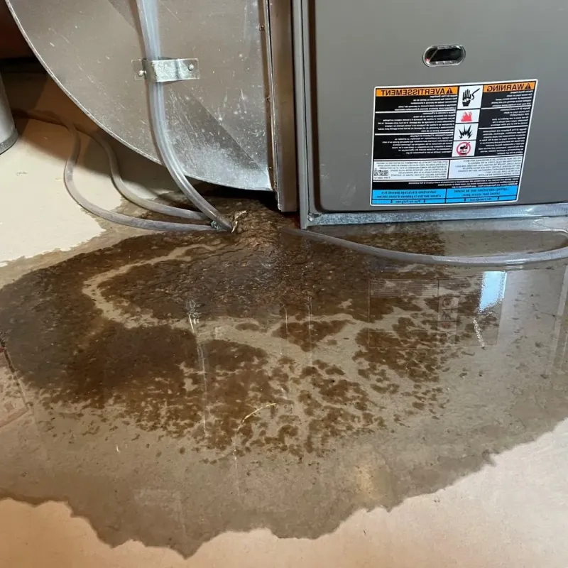 Pipe Burst and Leak Restoration in Bliss Corner, MA