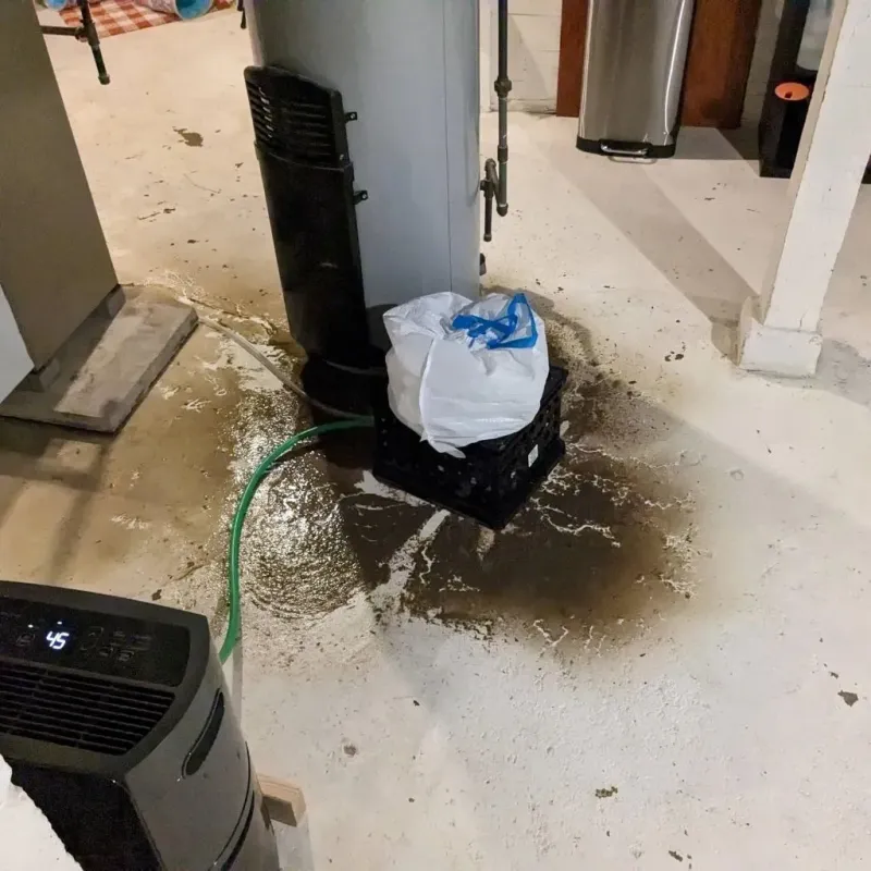 Sewage Backup Cleanup Service in Bliss Corner, MA